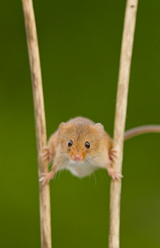 photo by Oliver Smart